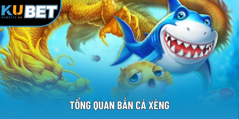 Tổng quan bắn cá xèng