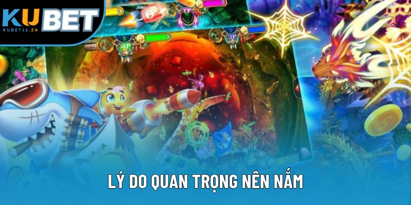 Lý do quan trọng nên nắm