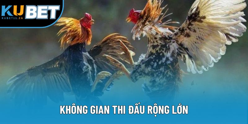 Không gian thi đấu rộng lớn