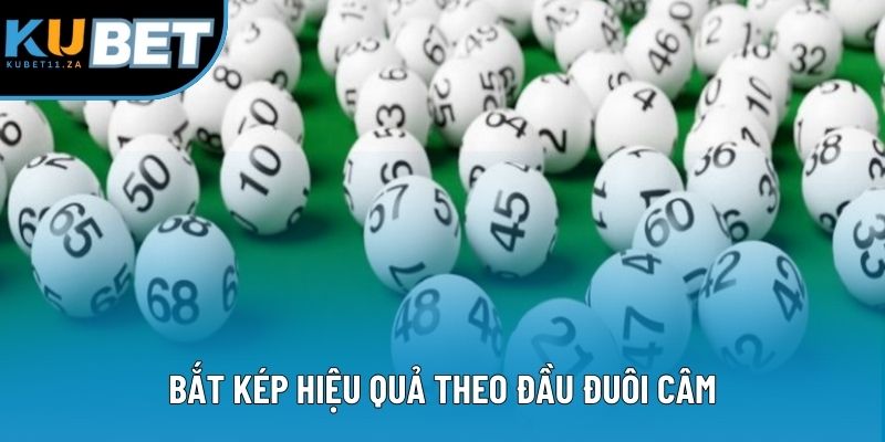 Bắt kép hiệu quả theo đầu đuôi câm Bắt kép hiệu quả theo đầu đuôi câm