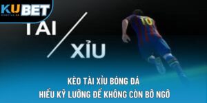 Kèo Tài Xỉu Bóng Đá | Hiểu Kỹ Lưỡng Để Không Còn Bỡ Ngỡ