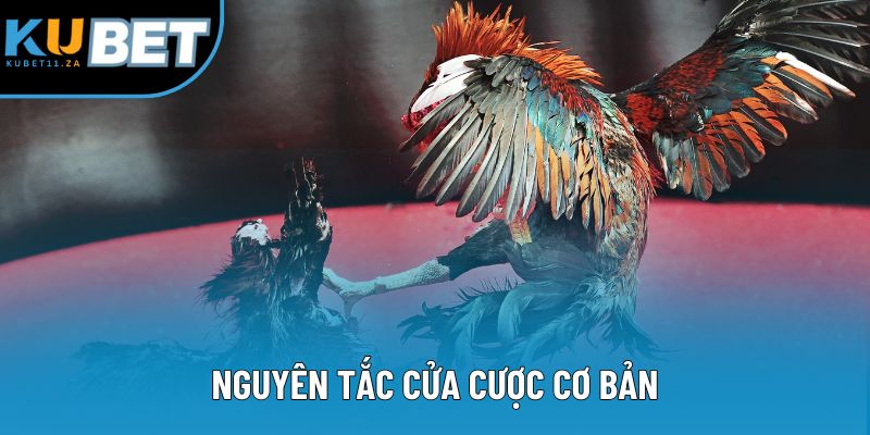 Nguyên tắc cửa cược cơ bản
