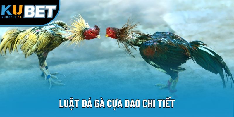Luật đá gà cựa dao chi tiết