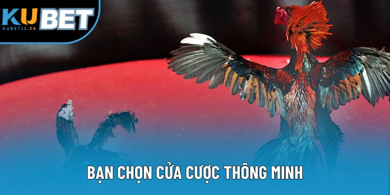 Bạn chọn cửa cược thông minh