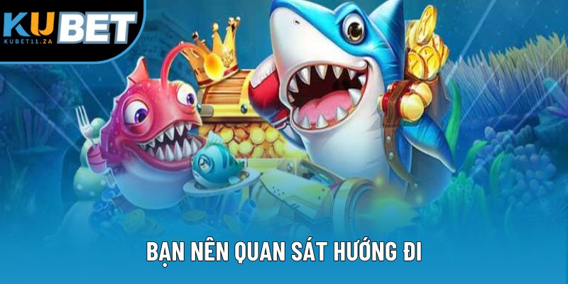 Bạn nên quan sát hướng đi