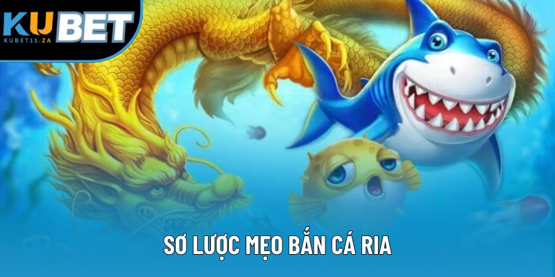 Sơ lược mẹo bắn cá ria