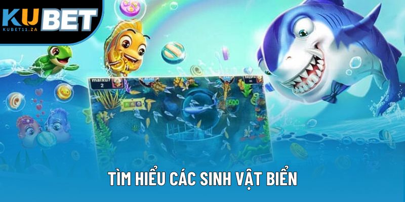 Tìm hiểu các sinh vật biển