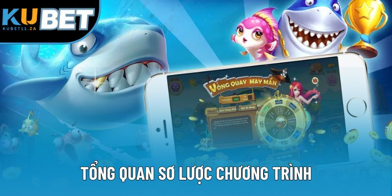 Tổng quan sơ lược chương trình