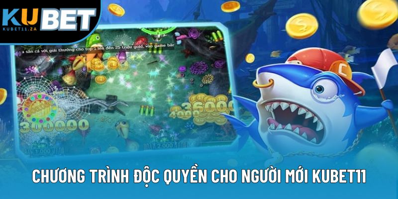 Chương trình độc quyền cho người mới KUBET11