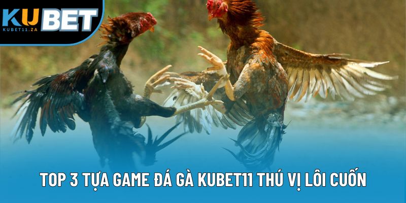 Top 3 tựa game đá gà KUBET11 thú vị lôi cuốn Top 3 tựa game đá gà KUBET11 thú vị lôi cuốn